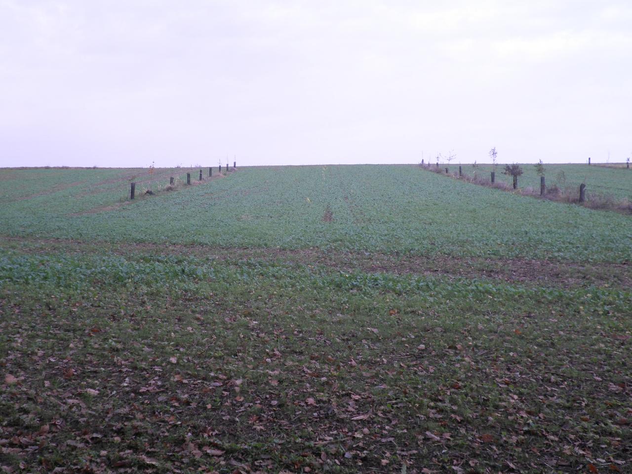 a5