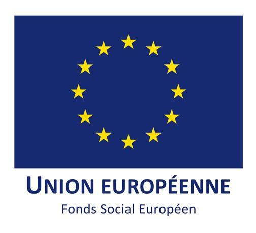 Logo fond social europeen